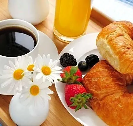 Le Cabanon 4* 비다르
